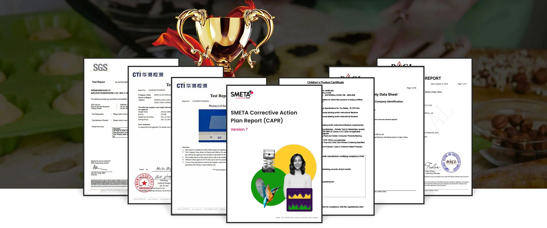 Silicone products certification RohS FDA LFGB